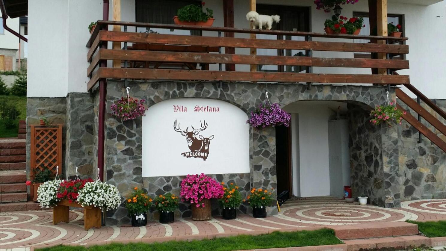 Vila Stefana Păltiniş Zewnętrze zdjęcie
